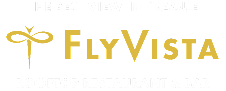 FLY_VISTA_1_1.png
